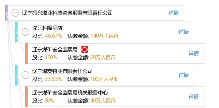 信息技術(shù)咨詢服務(wù) 遼寧振興煤業(yè)科技咨詢服務(wù)有限責(zé)任公司的專業(yè)優(yōu)勢(shì)