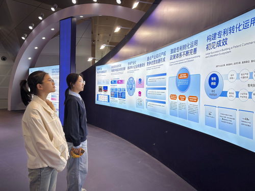 我校師生參加第十四屆中國(guó)國(guó)際專利技術(shù)與產(chǎn)品交易會(huì)，聚焦信息技術(shù)咨詢服務(wù)創(chuàng)新